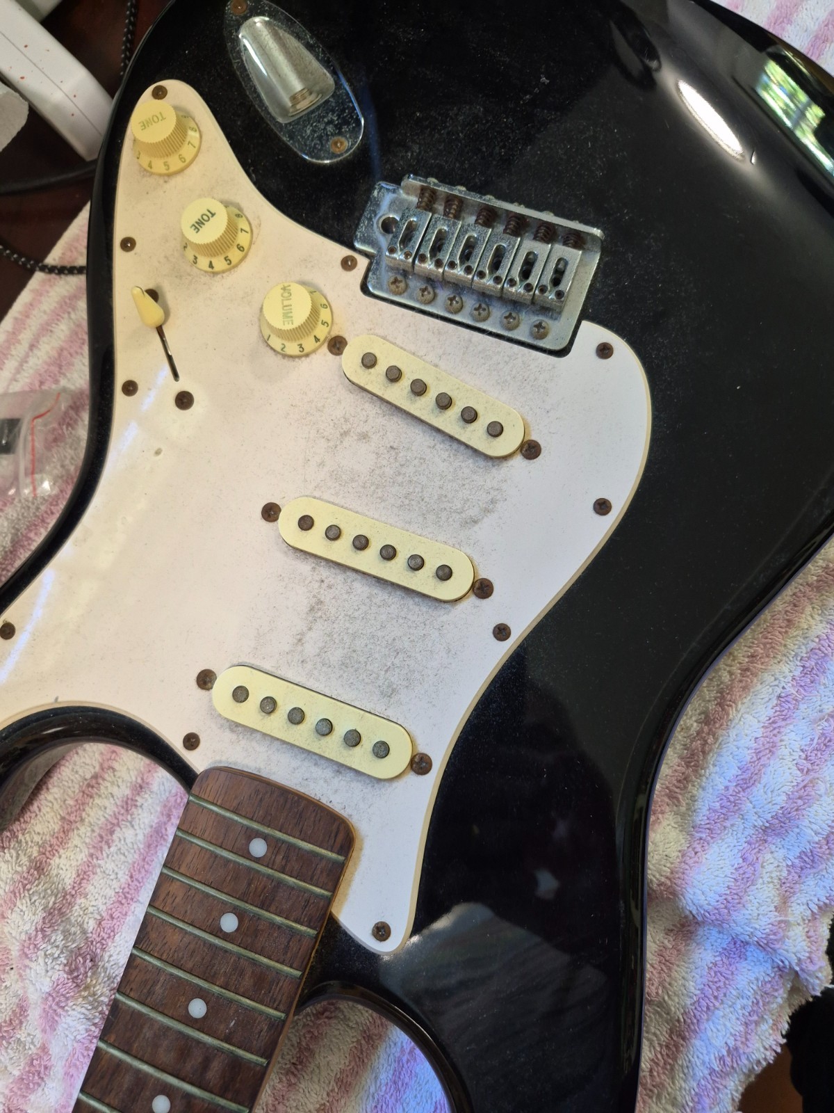 Squier Stratocaster • Bullet® Strat® with Tremolo, Rosewood Fingerboard. Nice!