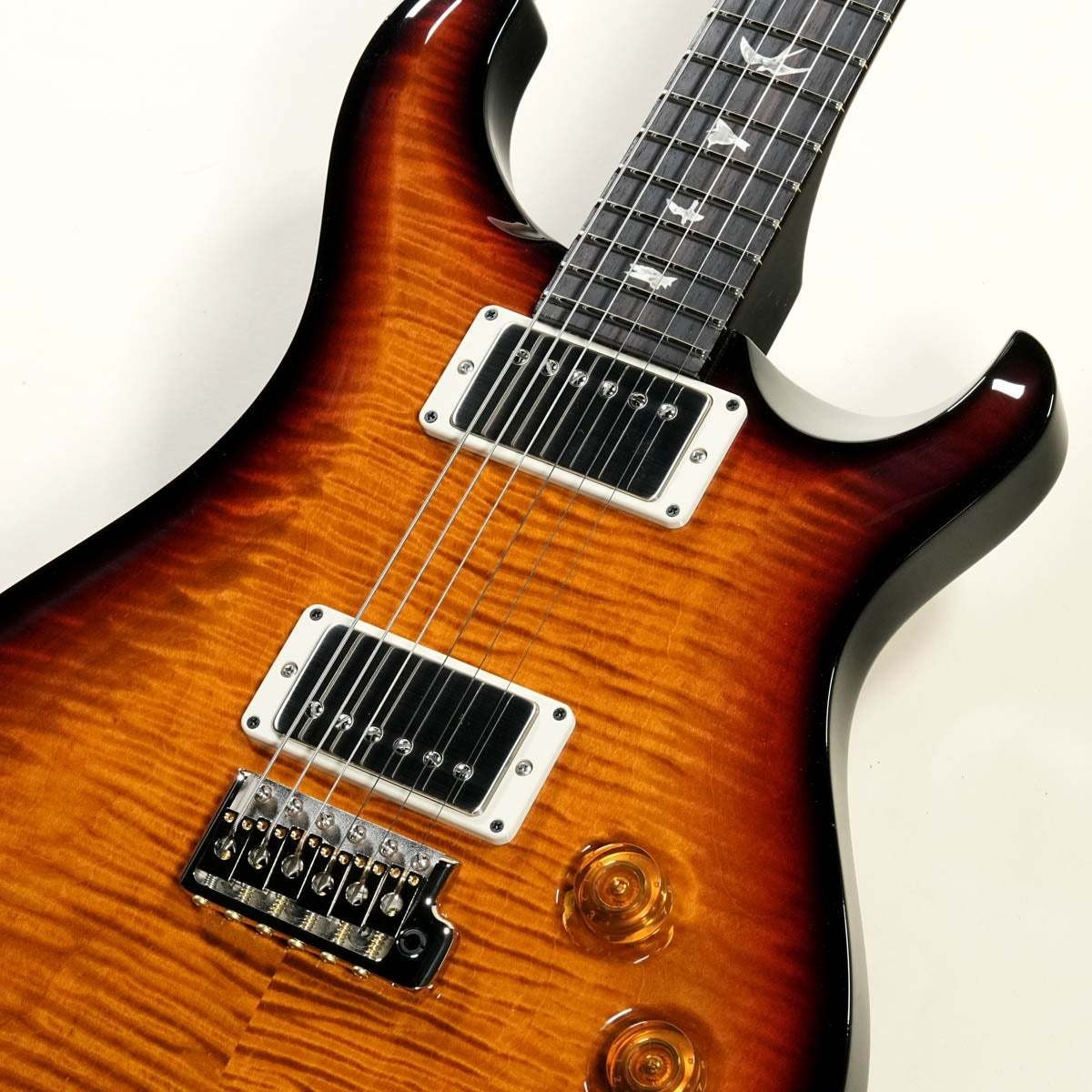 Paul Reed Smith PRS 2024 DGT Birds Inray Custom Color