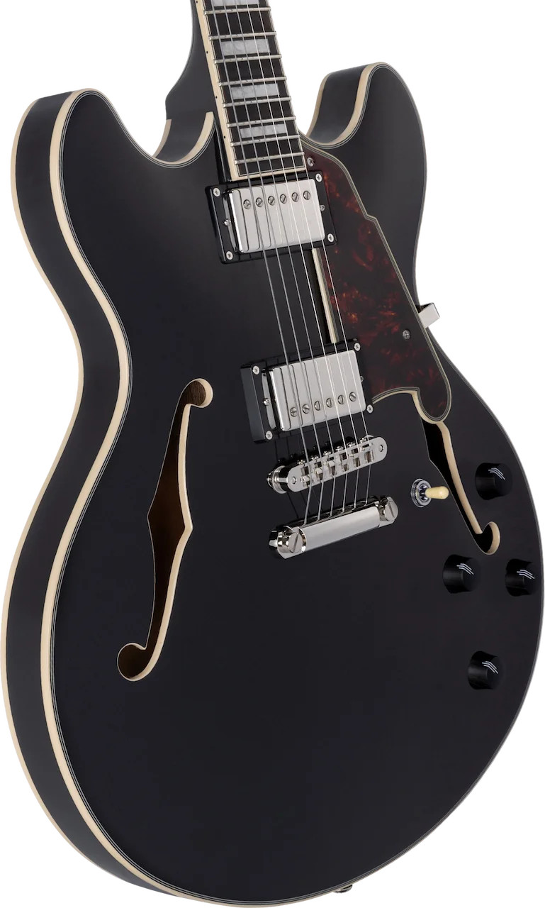 D’Angelico Premier DC Electric Guitar – Black Flake