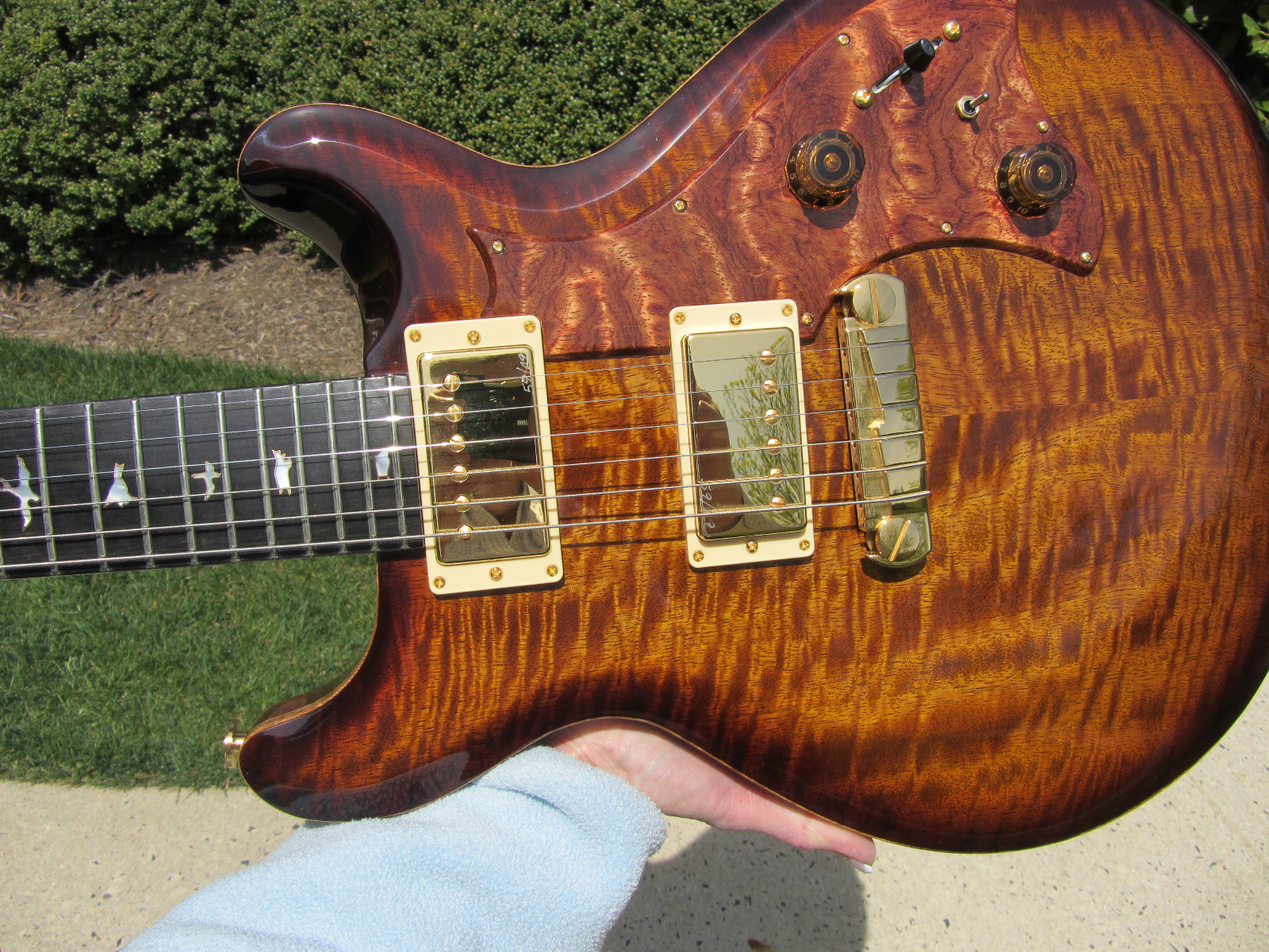 Prs Private Stock Rare Mira Mango Wood Top Bubinga Guard Sapele Back Unique !!