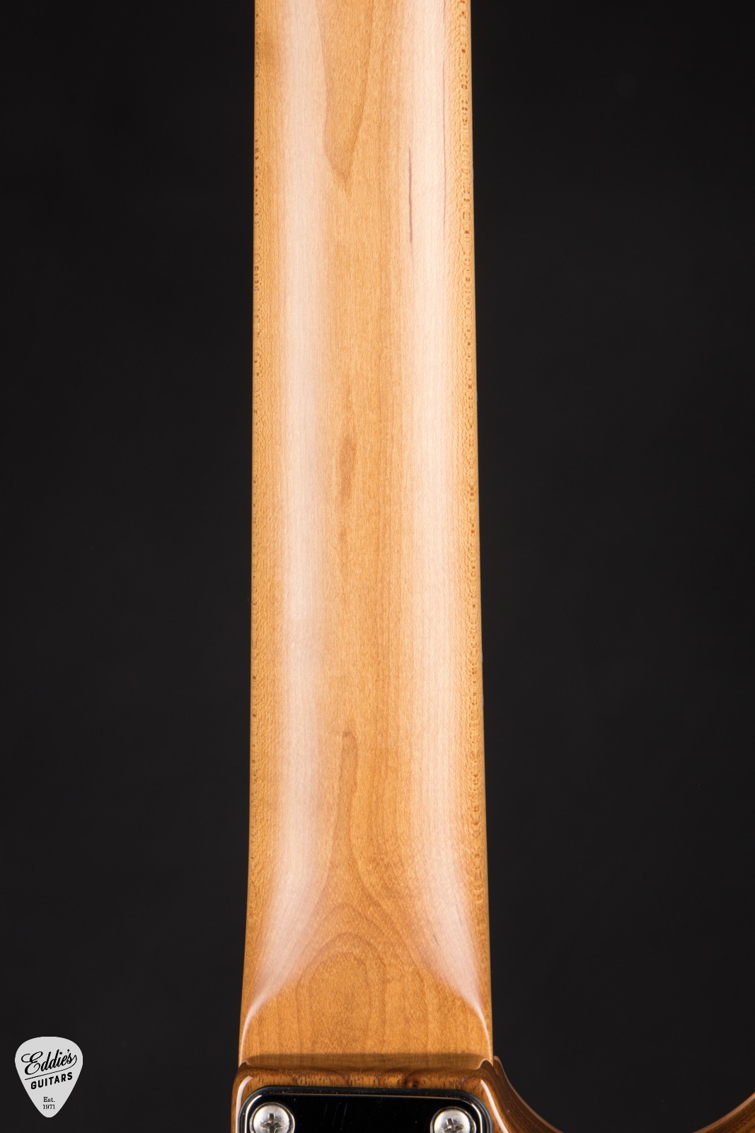 Suhr Standard Roasted – Trans Burgundy