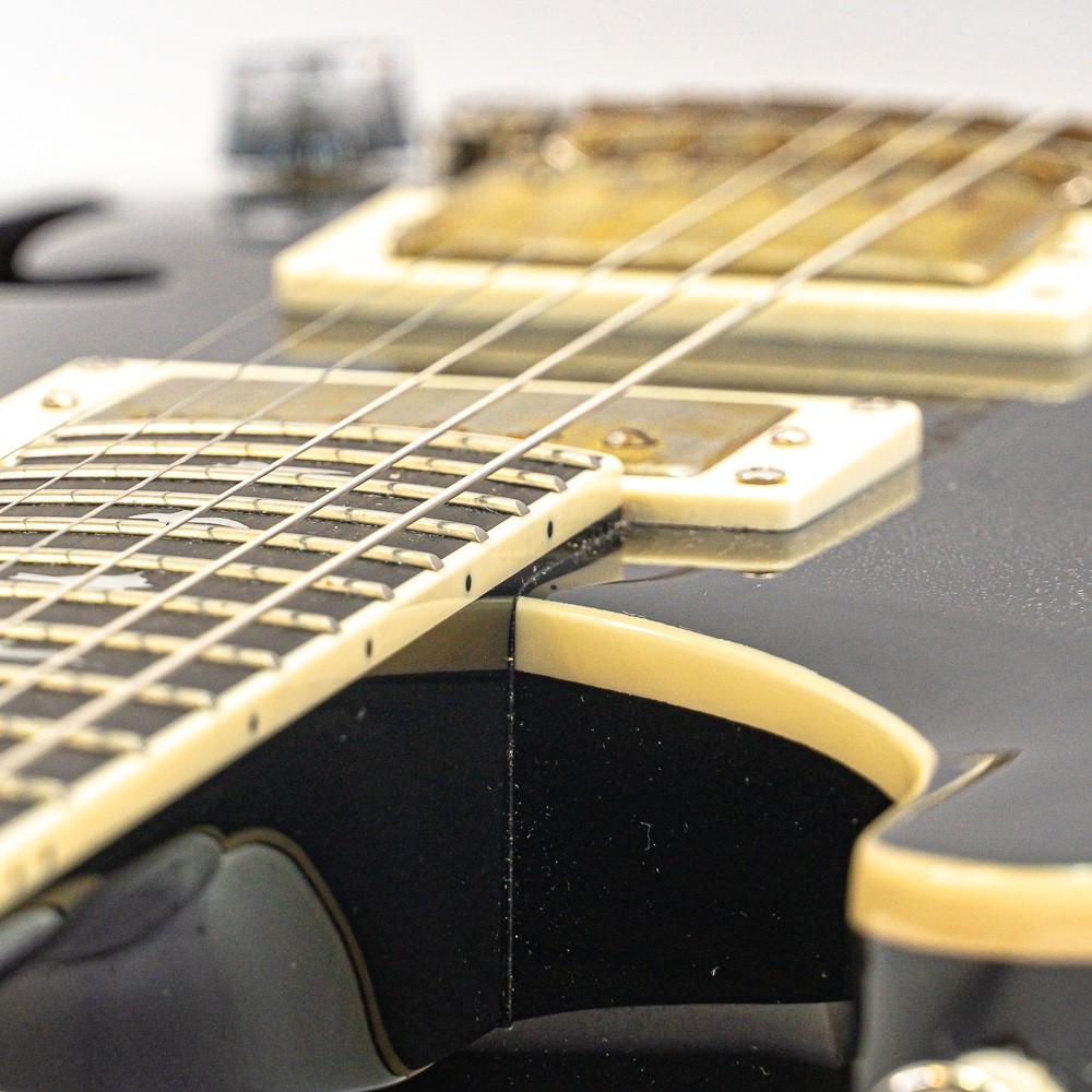 PRS SE Hollowbody Standard Guitar – Dog Hair Smokeburst w/ Case, Porter Pickups