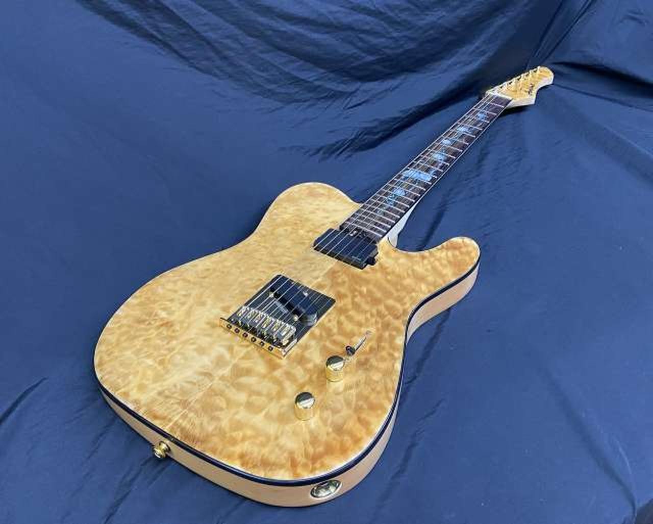 ARIA PRO II TEG-780 Used Electric Gutiar
