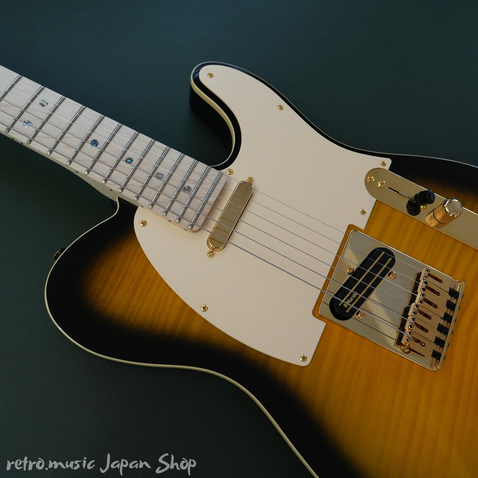 Fender Japan Exclusive Richie Kotzen Tele Brown Sun with gig bag