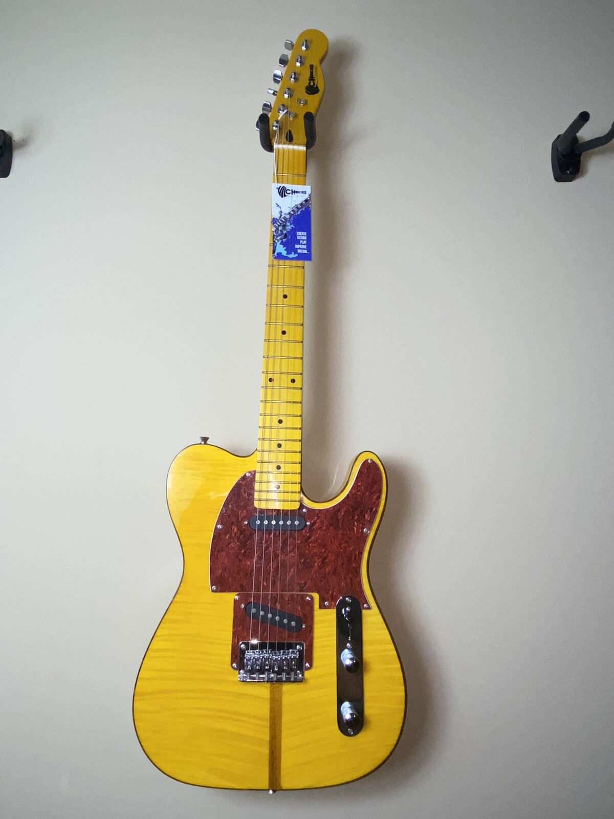 Electric guitar Vilches Guitars Basswood maple top w/HardCase
