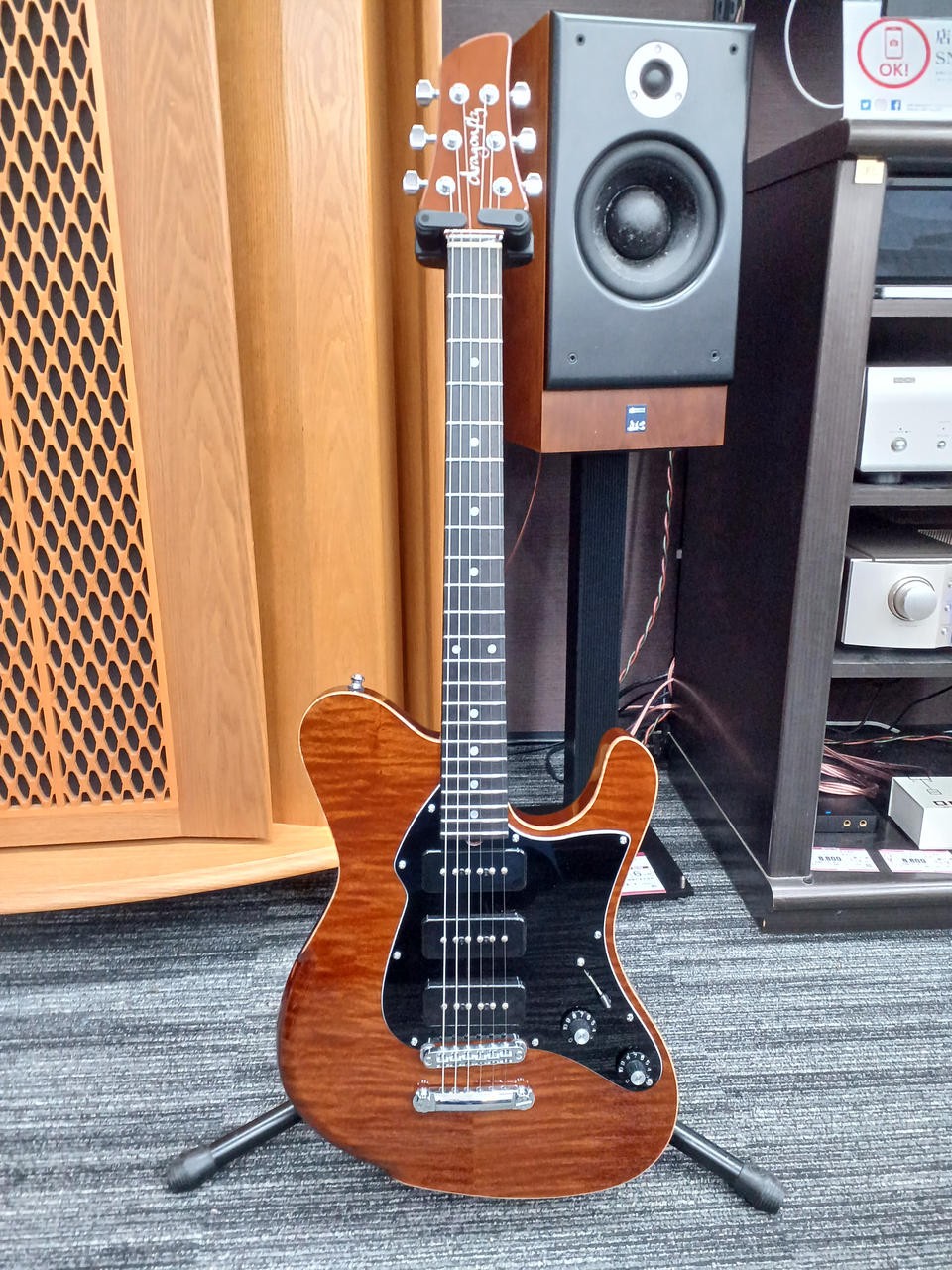 DRAGONFLY Border Custom 648 P-90 Electric Guitar