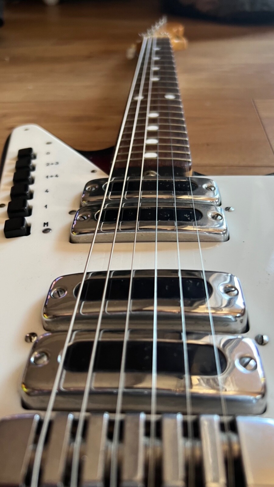 Galanti Grand Prix 1962-1965 (Fender Pre Cbs)