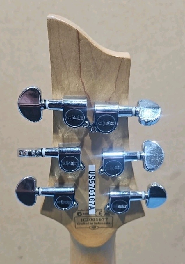 Schecter C-6 Diamond Series 6-String Electric Guitar – READ