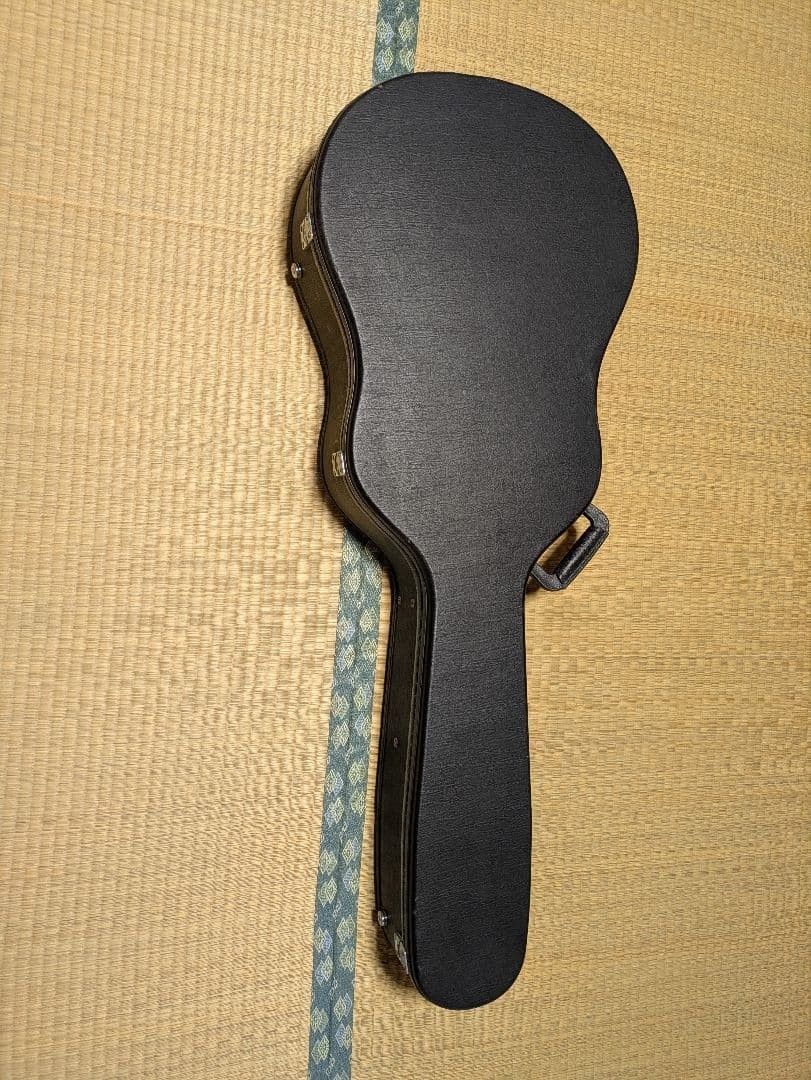 Takamine acoustic guitar T-5/BS used hard case included