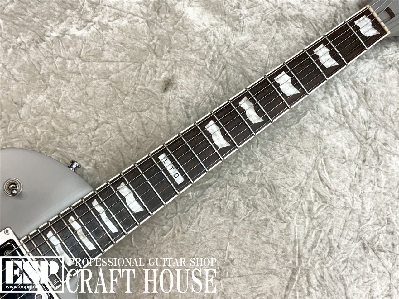 LTD Trucks Used Electric Guitar 2010