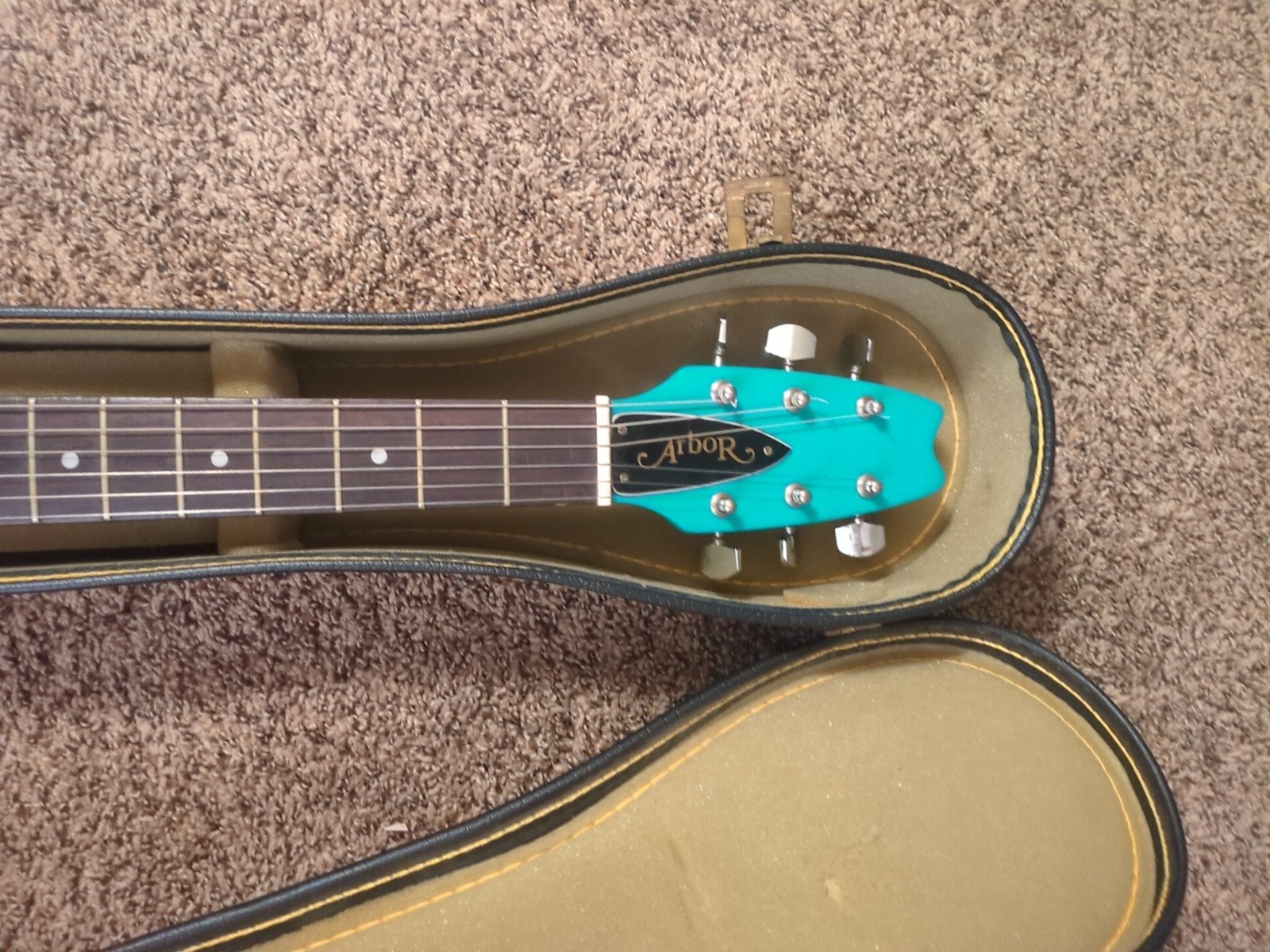 Arbor Flying V Electric Guitar