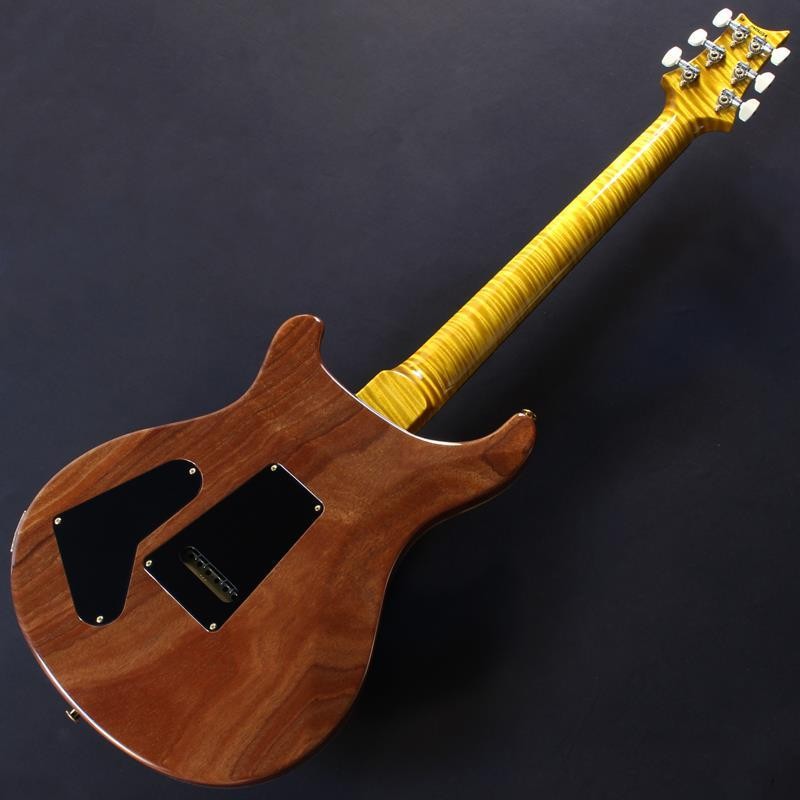 Paul Reed Smith(PRS) Wood Library Special Semi-Hollow (Honey Gold) #25 0402026