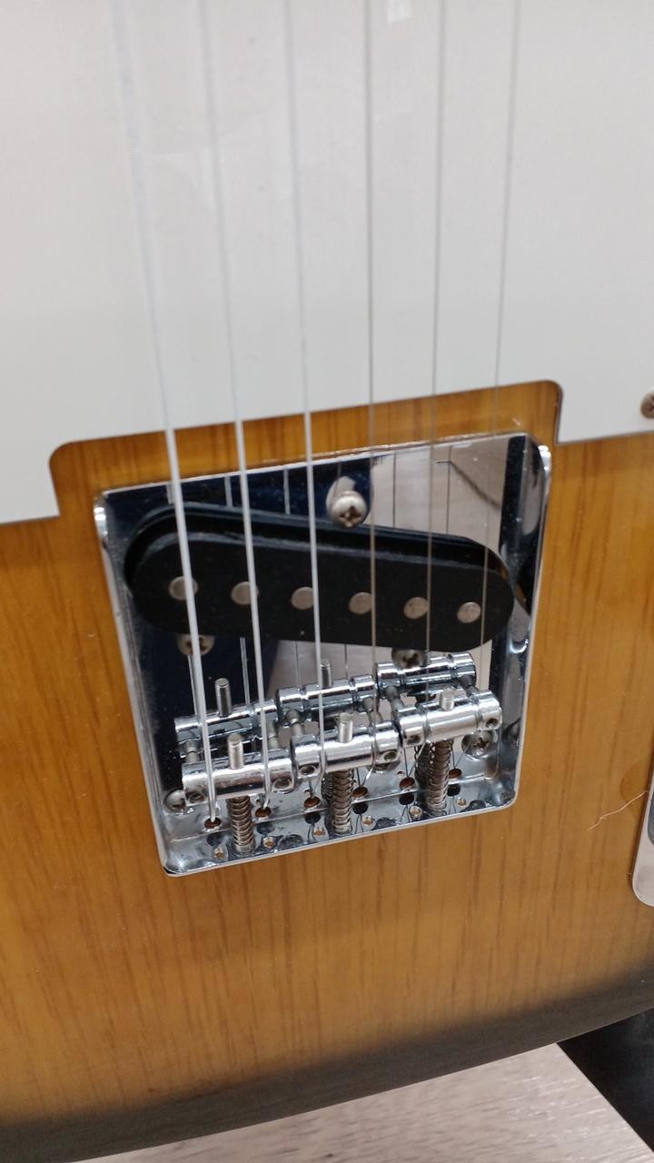 Unknown Electric Guitar Telecaster Type