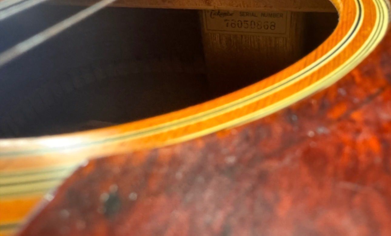 Takamine Takamine 12 string acoustic guitar model number unknown