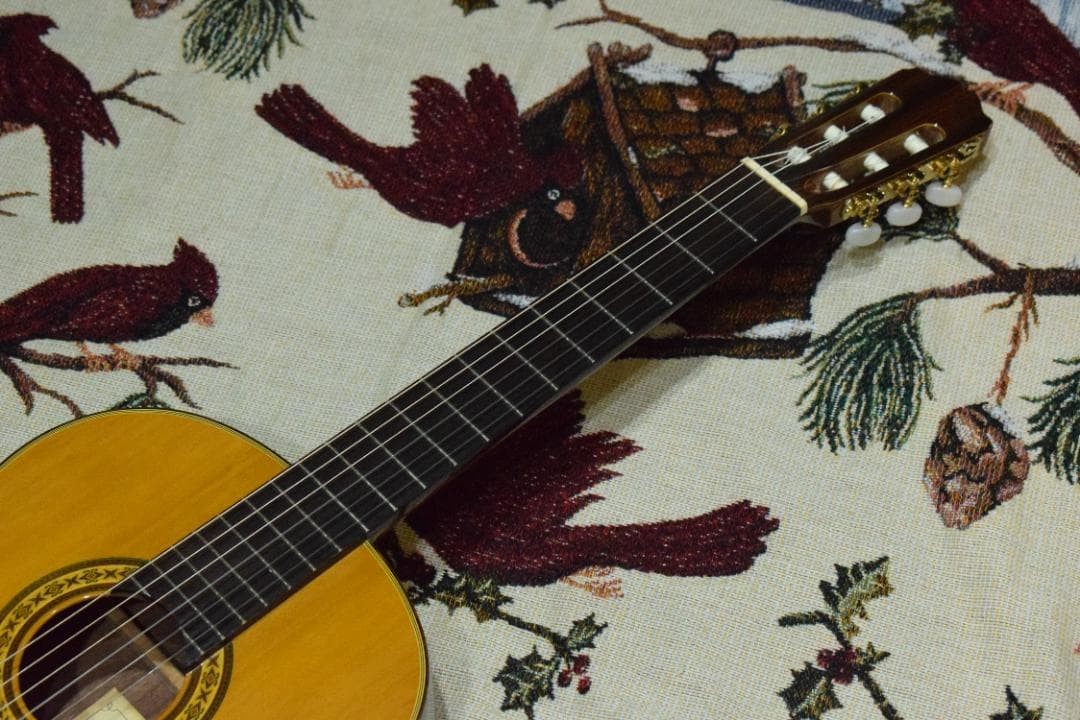 TAKAMINE No.30 Made in 1989 Top veneer with case