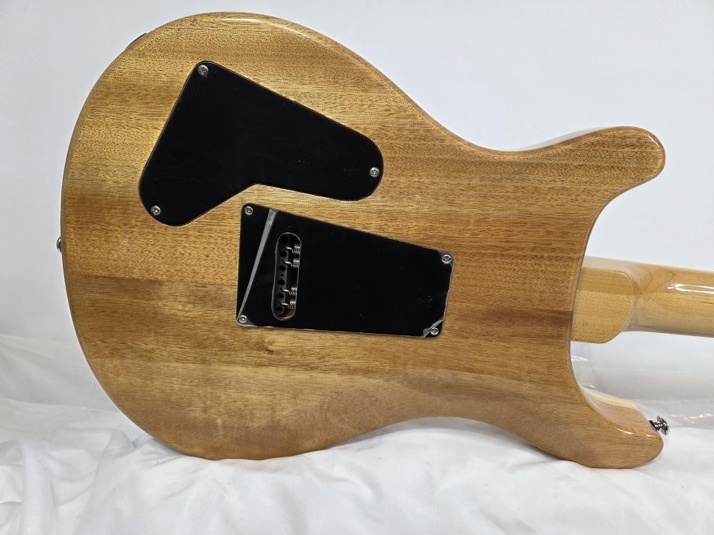 PAUL REED SMITH – PRS CUSTOM SE (P25022738)