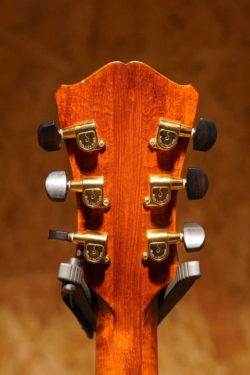 Eastman AR-805CE