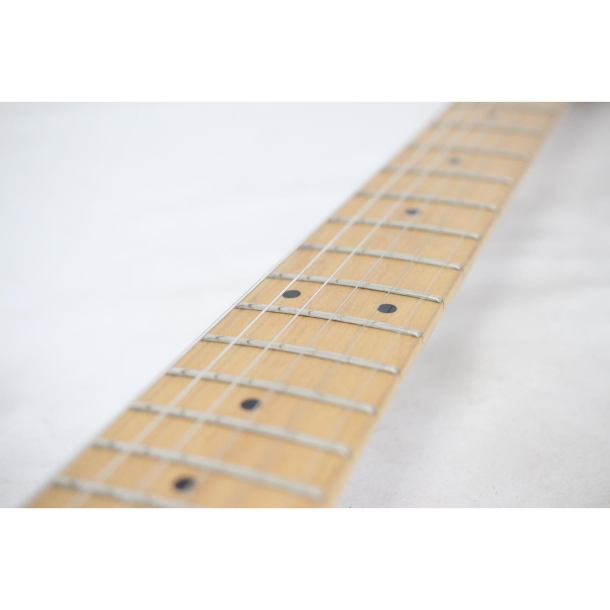 Authentic FERNANDES FR-STANDARD #270-004-111-8280