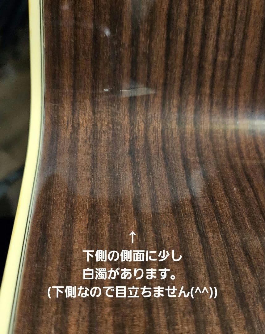 [Out of print/rare] Takamine electric acoustic DSP015TBS
