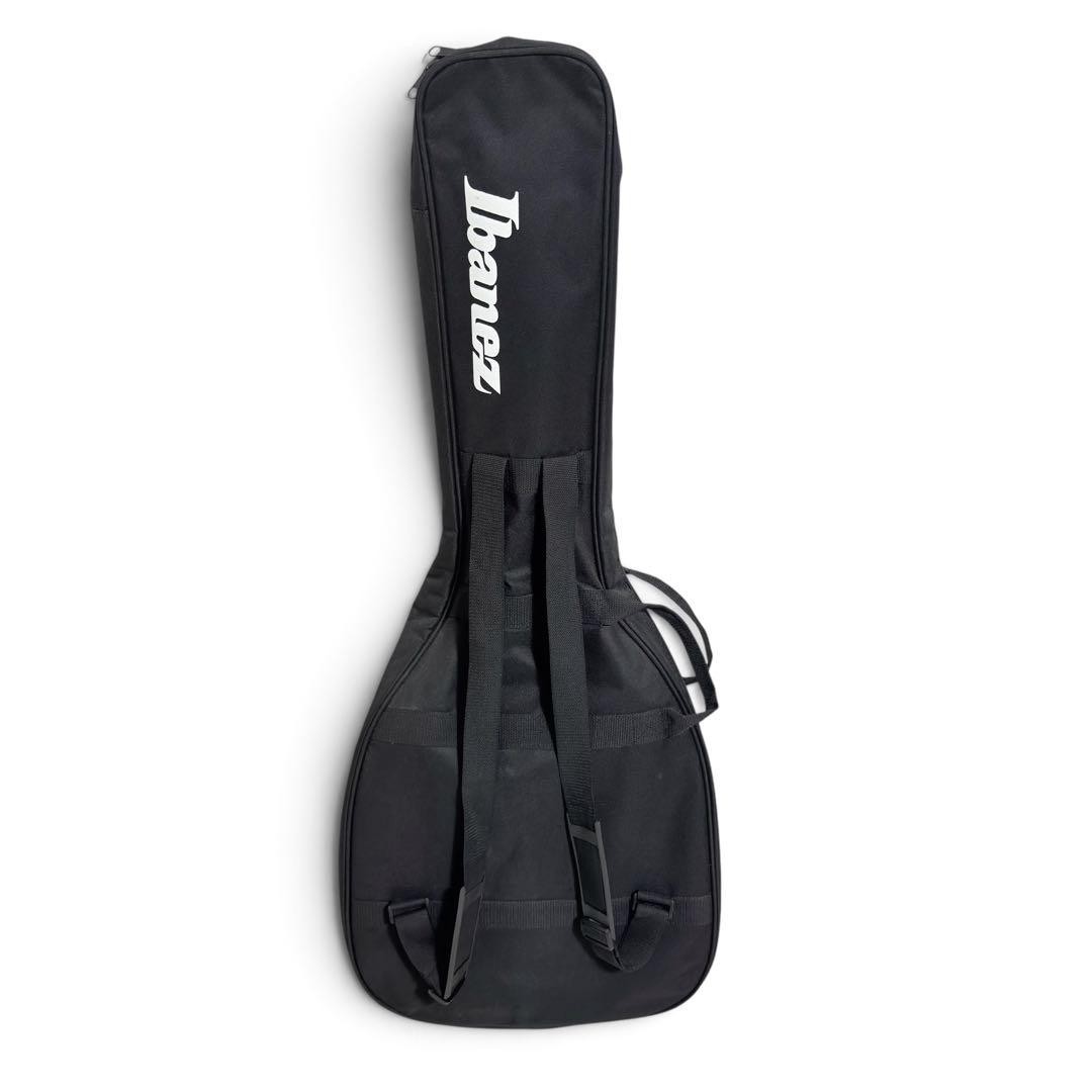GIO Ibanez GRG121DX-WNF Safe packing!