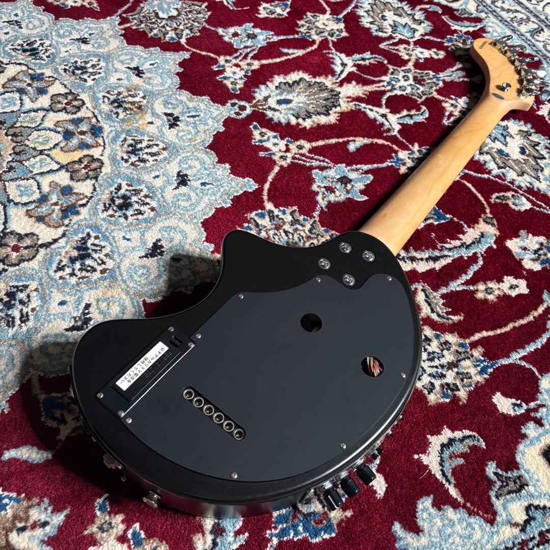 [Rare] FERNANDES DIGI-ZO Hyper Matte Black Discontinued Product