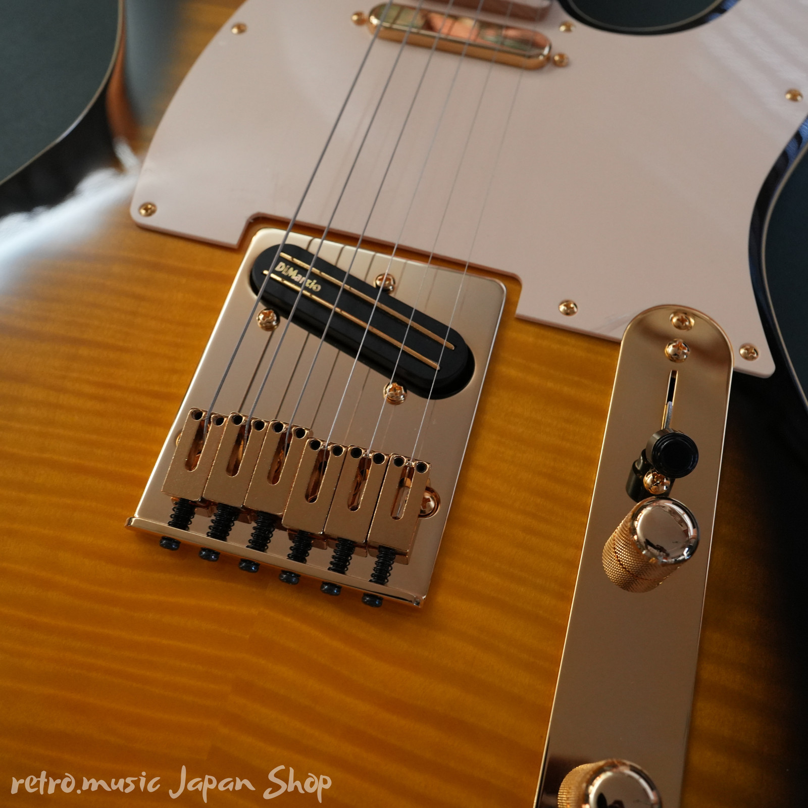 Fender Japan Exclusive Richie Kotzen Tele Brown Sun with gig bag