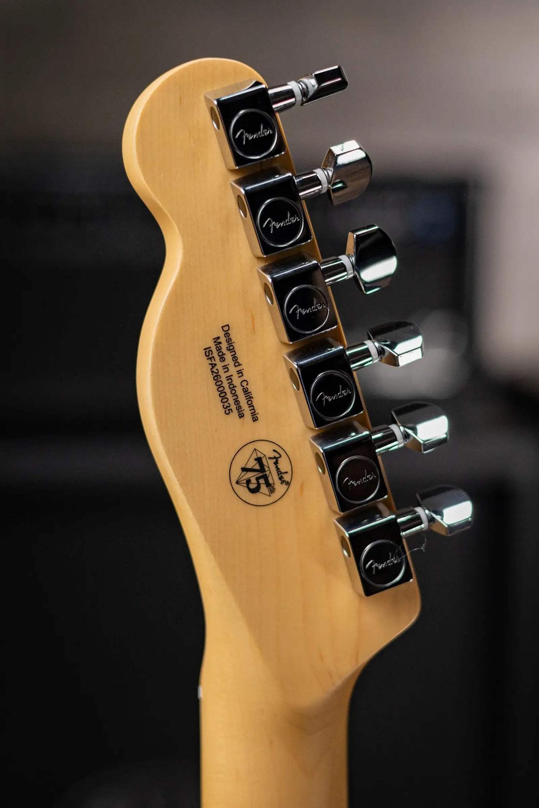 Fender Standard Telecaster Electric Guitar – Butterscotch Blonde