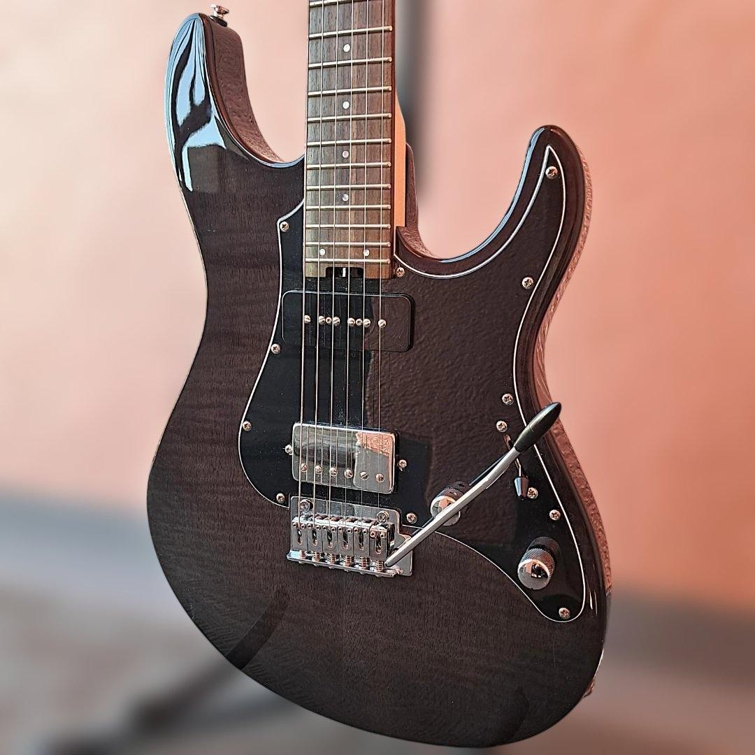 GrassRoots G-SNAPPER-CTM P ESP Flamed Maple Veneer Electric Guitar Black Gray