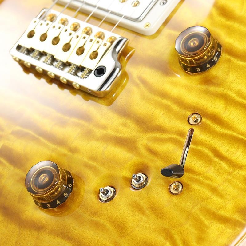 Paul Reed Smith(PRS) Wood Library Special Semi-Hollow (Honey Gold) SN.0401647