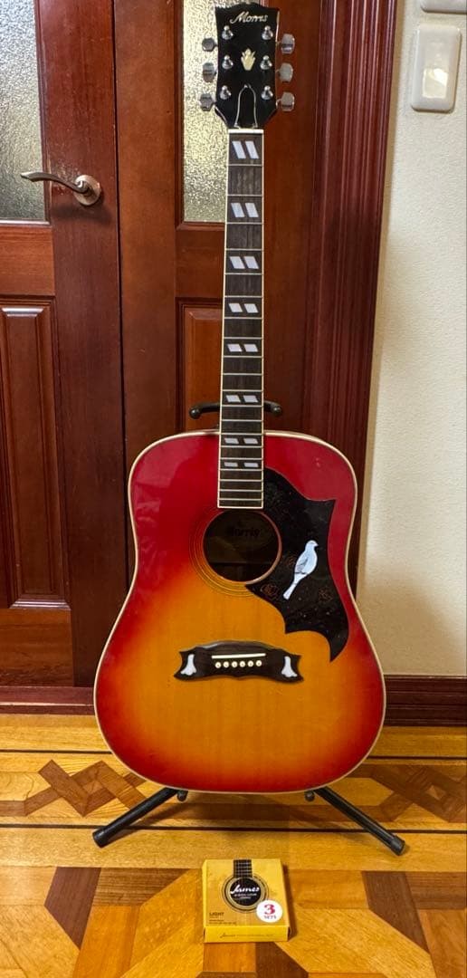 Rare Morris WD-25 acoustic guitar hummingbird type