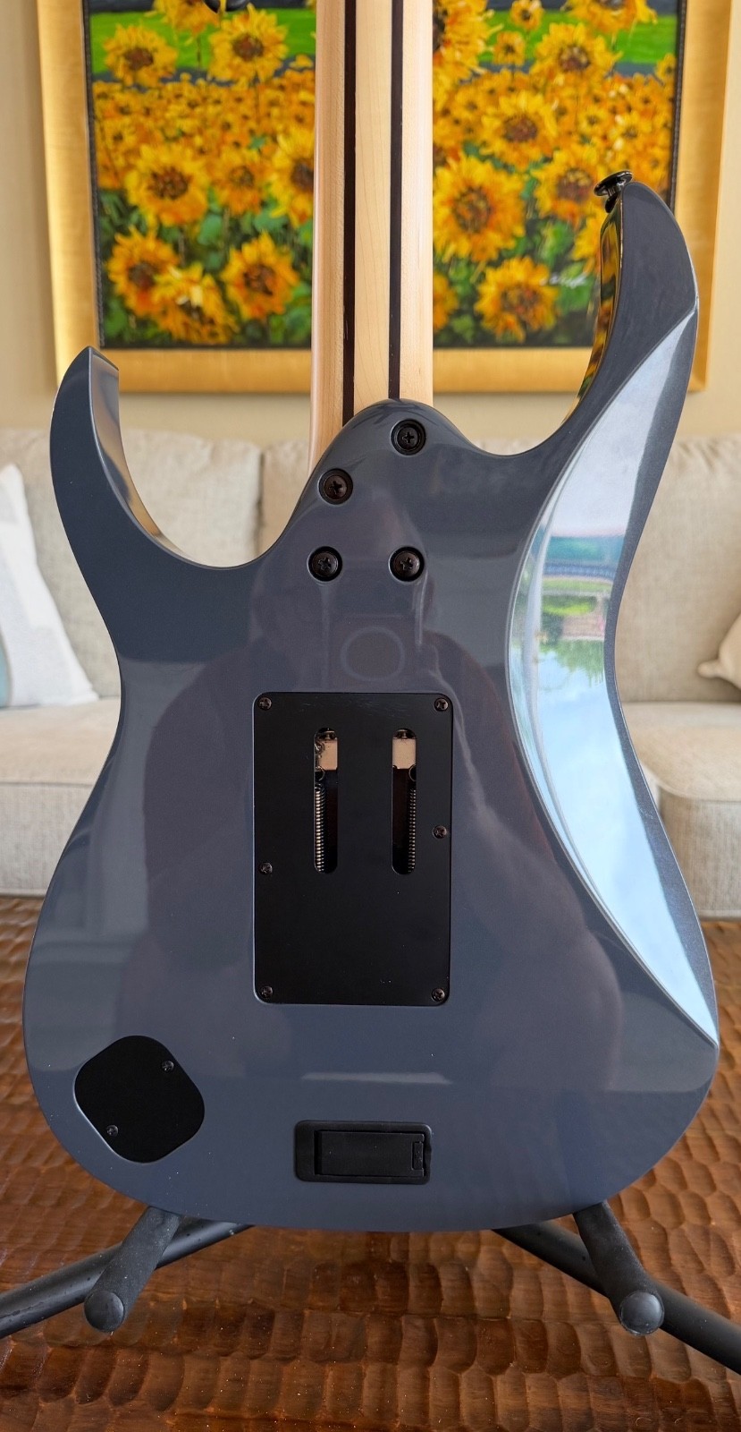 Ibanez RGR5000 Series Guitar