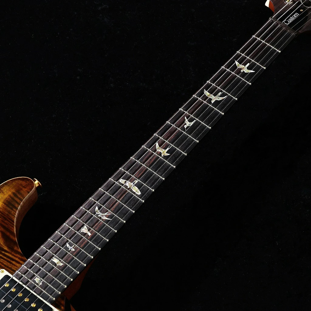 Paul Reed Smith (PRS) / 2025 Custom 24 10Top Tiger Eye (3.31kg) S/N: 25 0420832