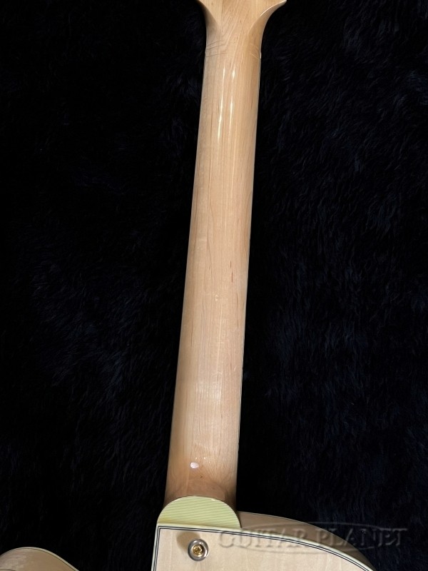 Eastman AR-403CE/D -Blonde- (2017) (no260412)