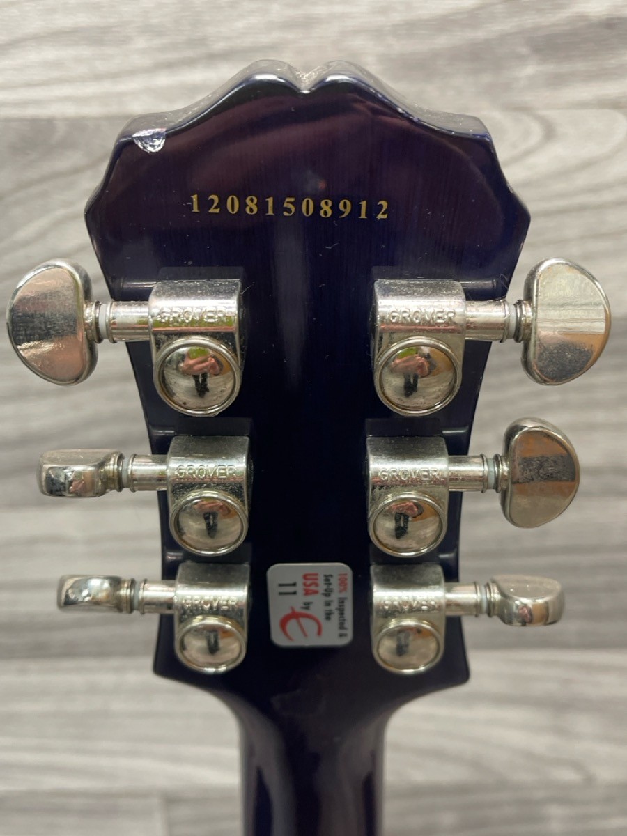 Epiphone Les Paul Standard Pro 2010 Electric Guitar (A1D023696)
