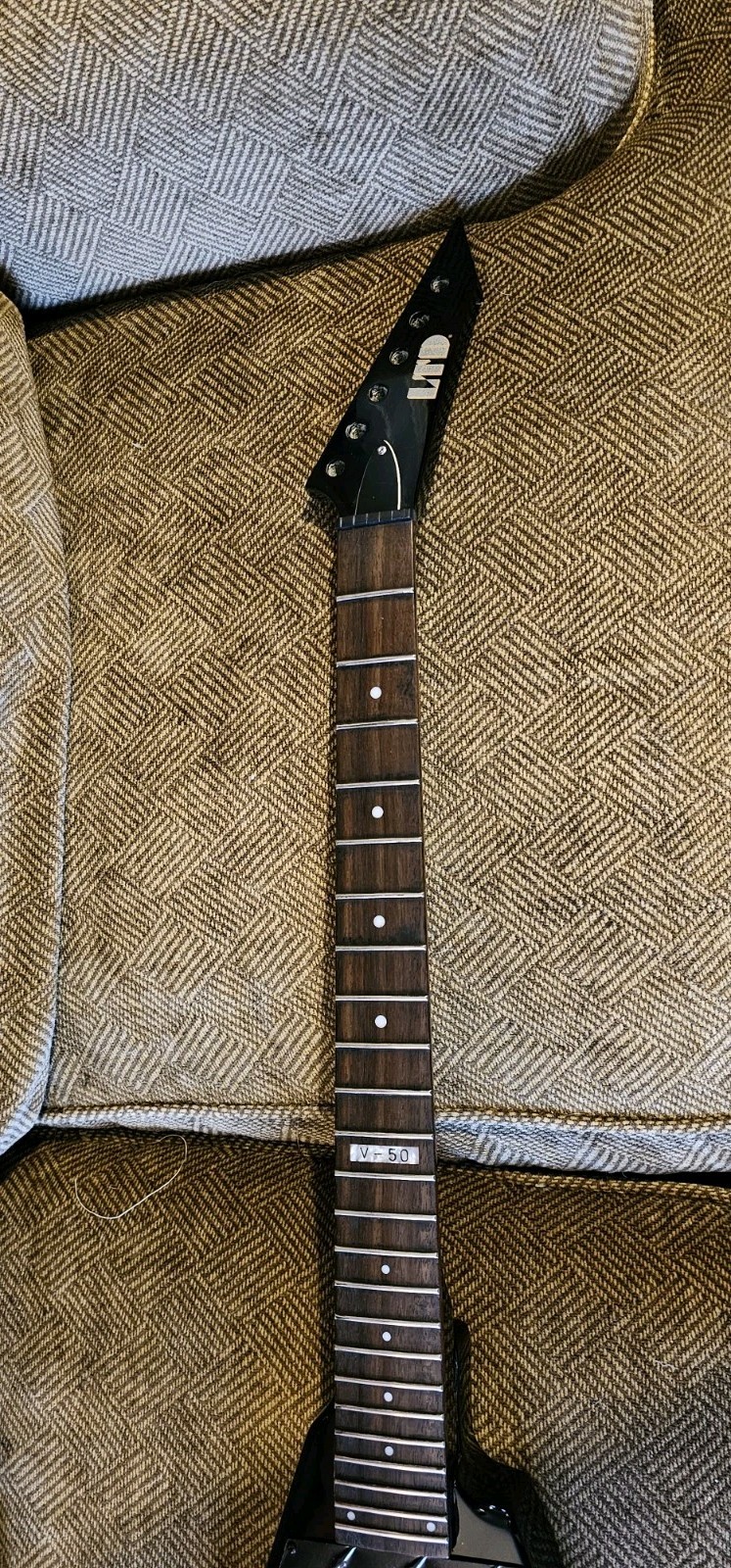 ESP LTD V-50 Custon Guitar Project