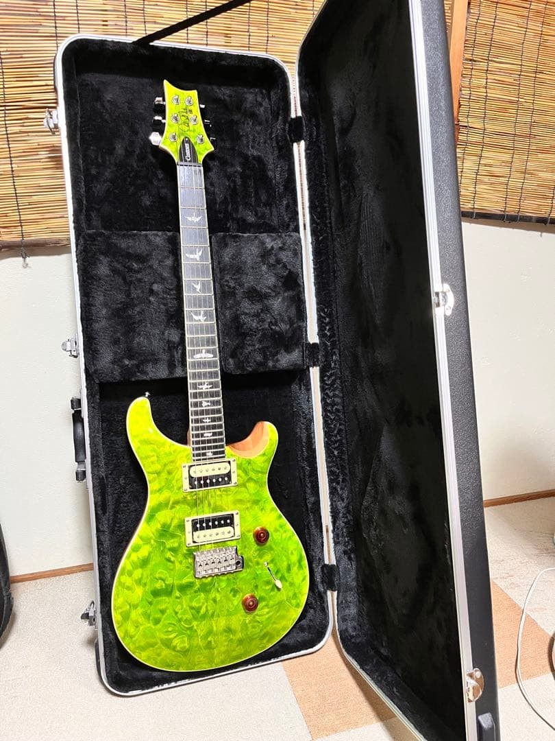 PRS SE Custom 24 Quilt Eriza Verde with Case