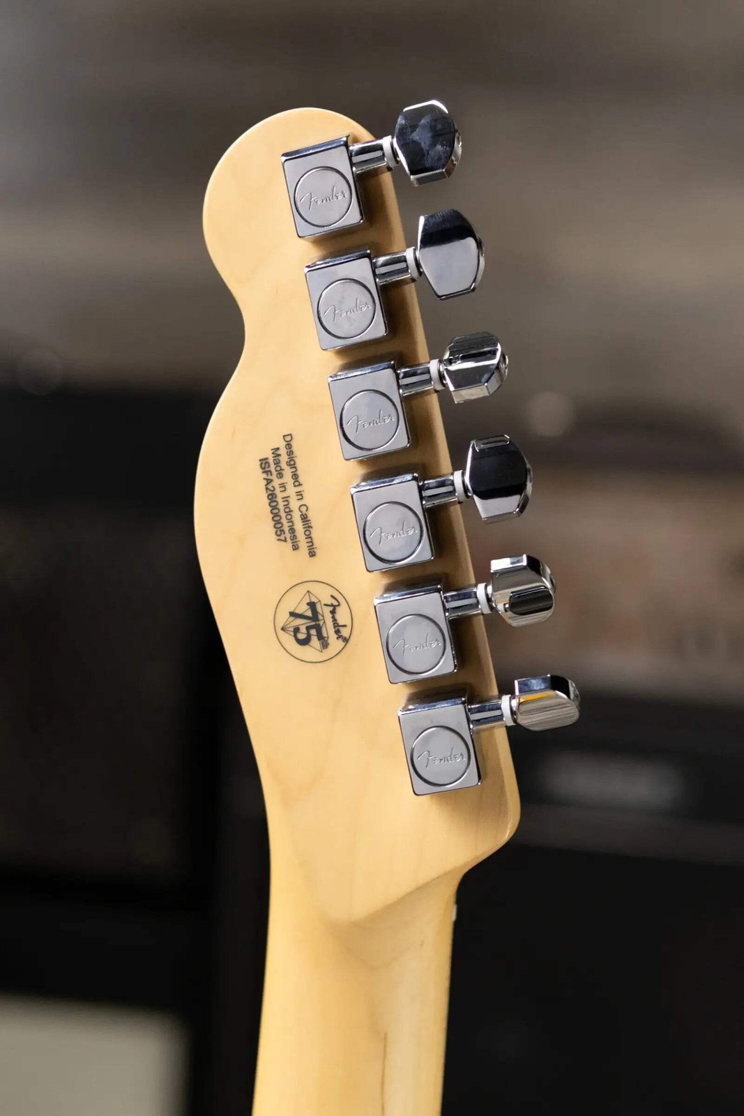 Fender Standard Telecaster Electric Guitar – Butterscotch Blonde