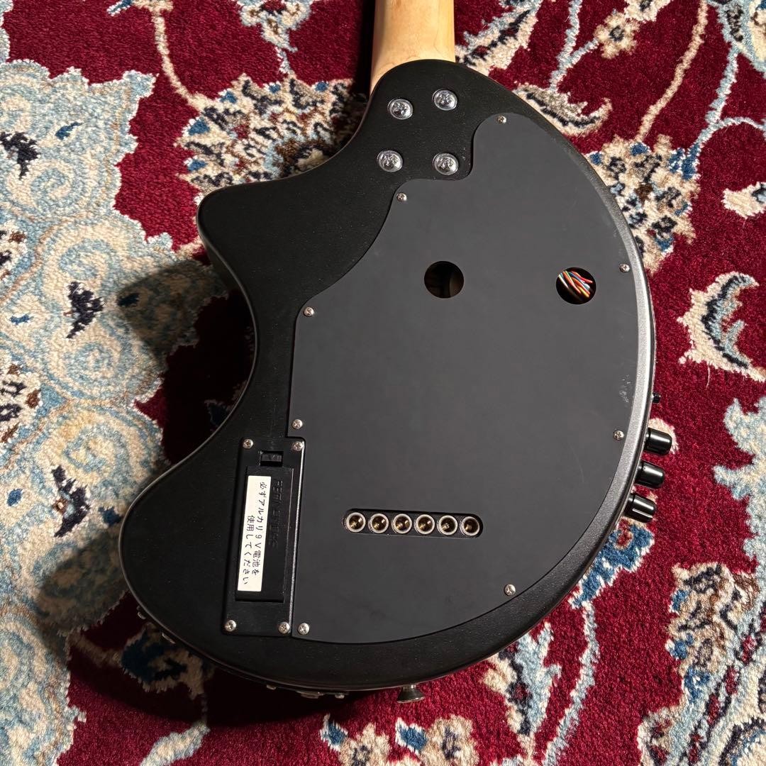 [Rare] FERNANDES DIGI-ZO Hyper Matte Black Discontinued Product