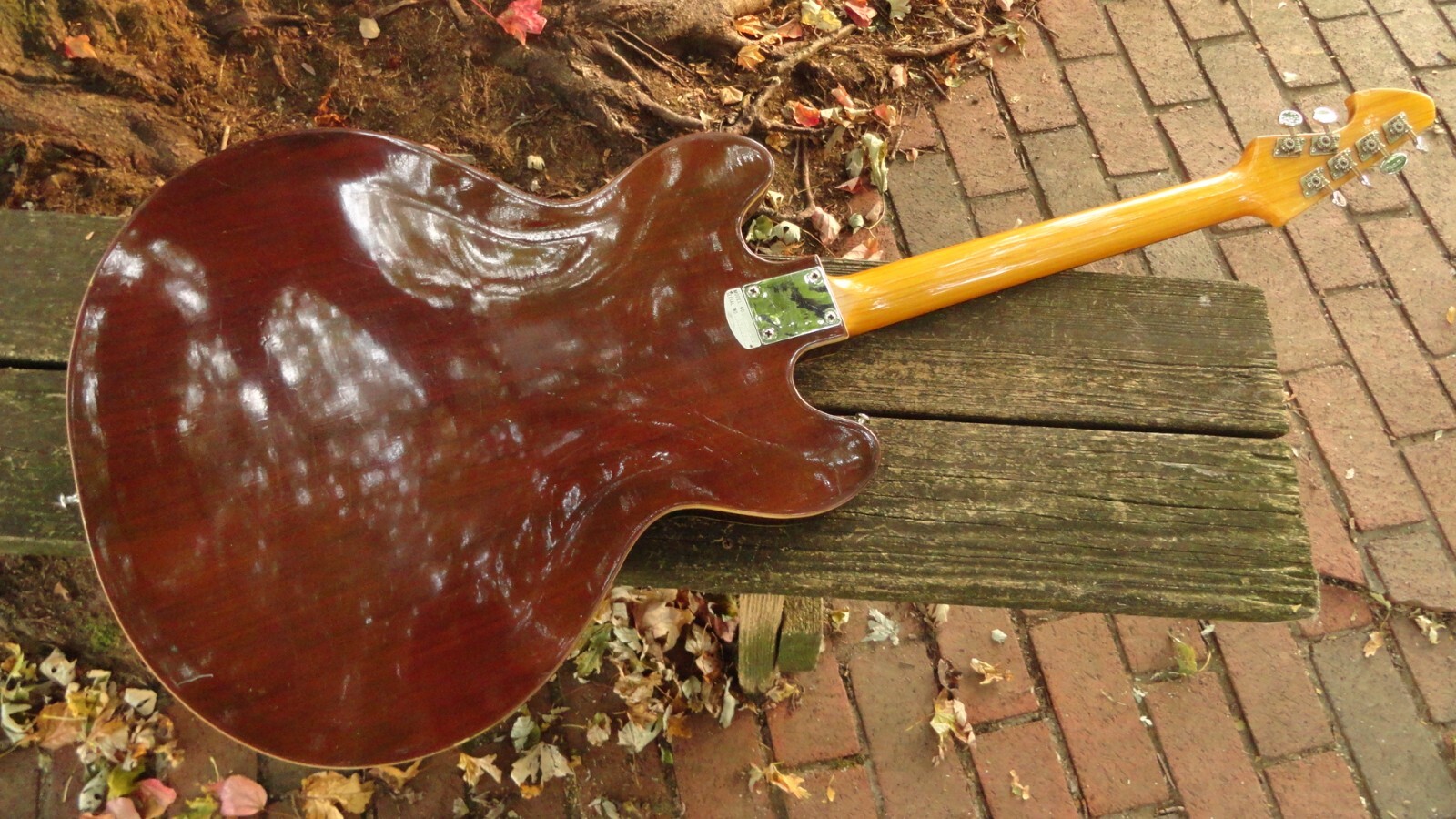 Teisco Del Rey semi hollowbody vintage 60’s electric guitar