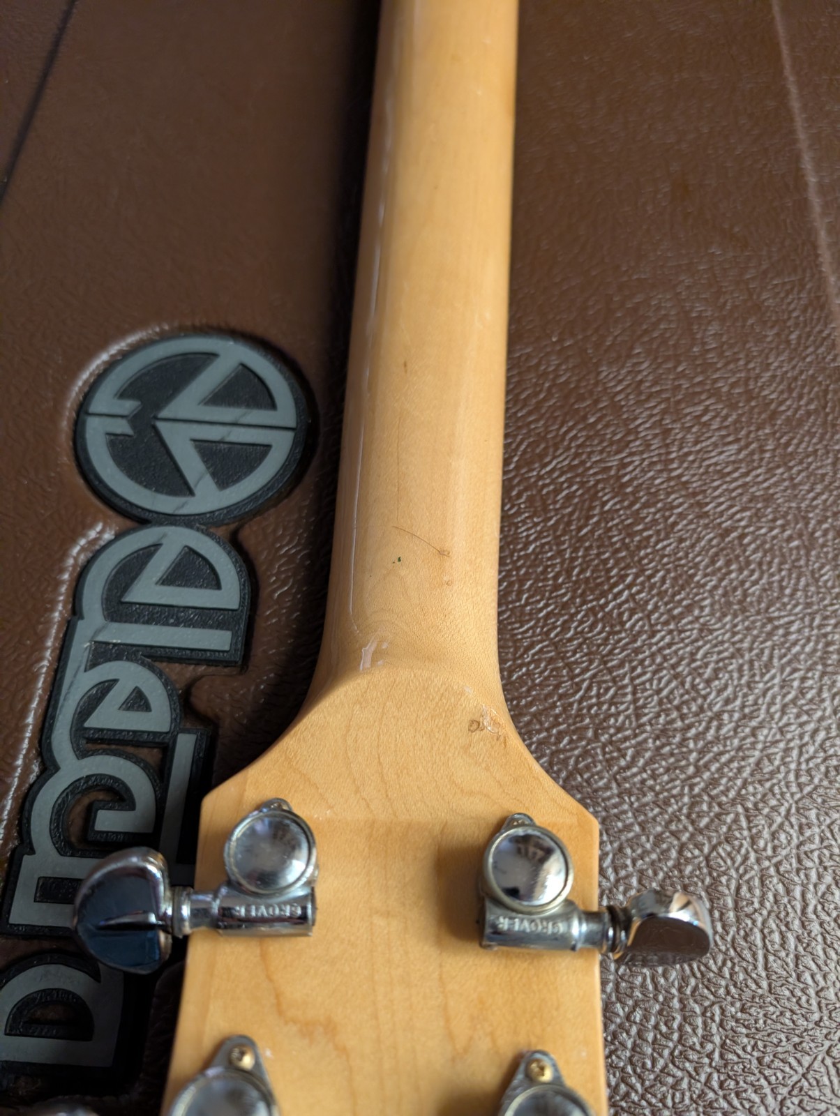 Electra 2258 Tree Of Life Set Neck Electric Guitar ?Prototype? 1970s W/OHSC