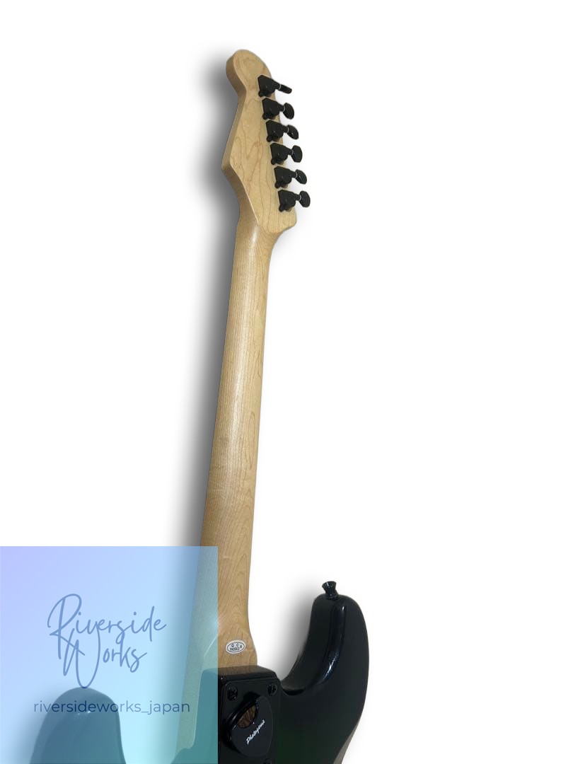 SELDER Electric Guitar Black Green
