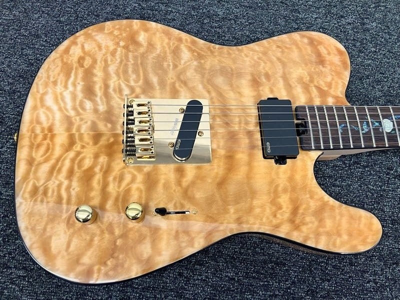 Aria Pro Ii Teg-780 Safe delivery from Japan