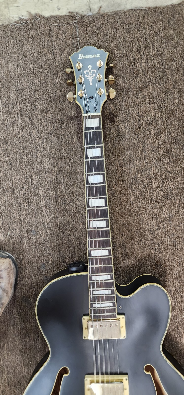 Ibanez Electric Guitar