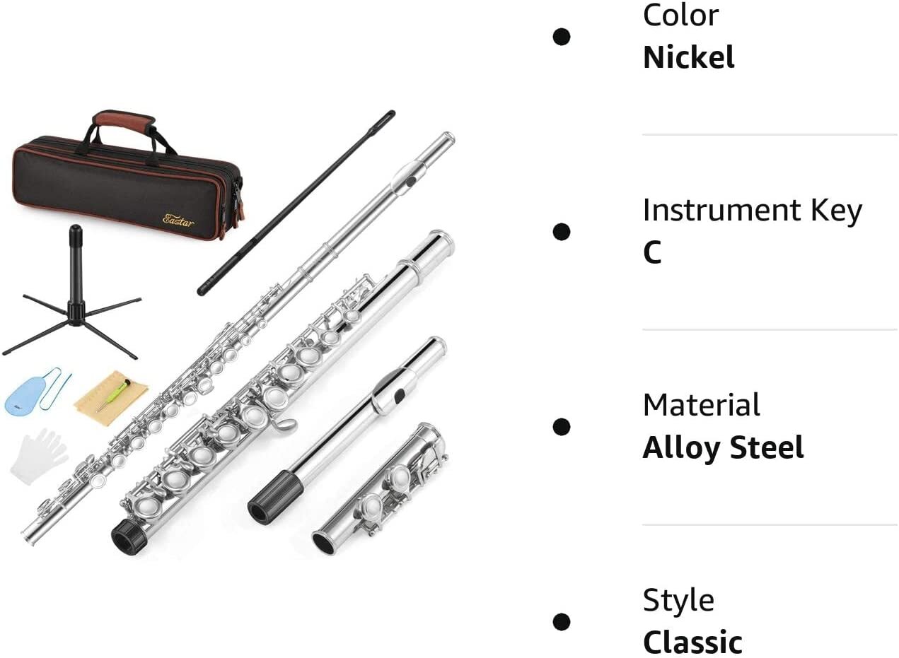 Eastar Closed Hole 16 Keys C Flute Musical Instrument for School Student Kids