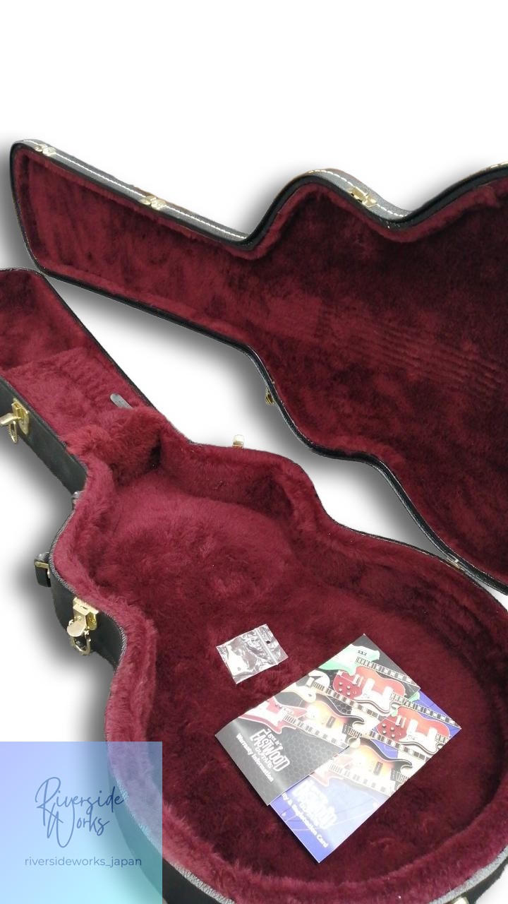 EASTWOOD Classic 12 Electric Guitar 12-String Vintage Style JP