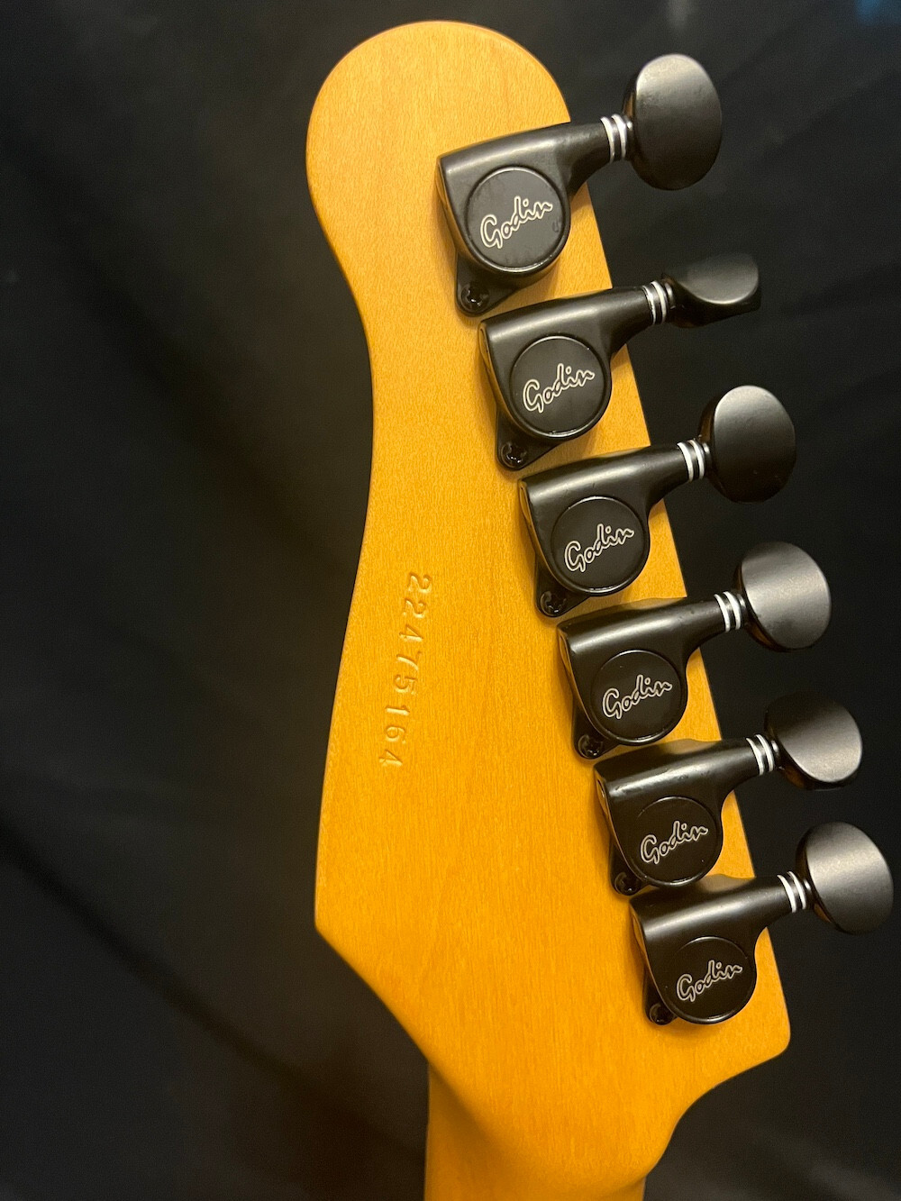 Godin Honeymoon Suite Derry Grehan Signature Tread 1-Tread Custom Graphic Guitar