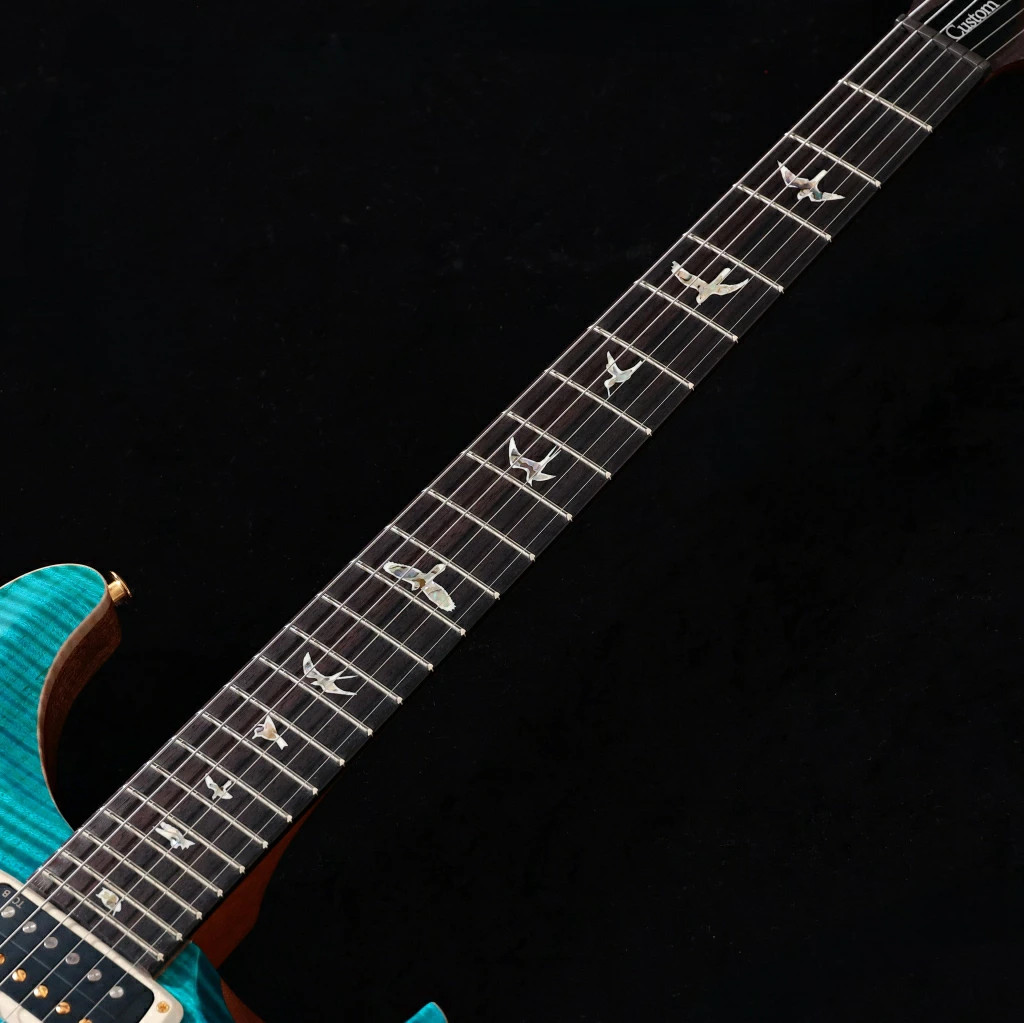 Paul Reed Smith / 2025 Custom 24-08 10Top Carroll Blue (3.54kg) S/N: 25 0416974