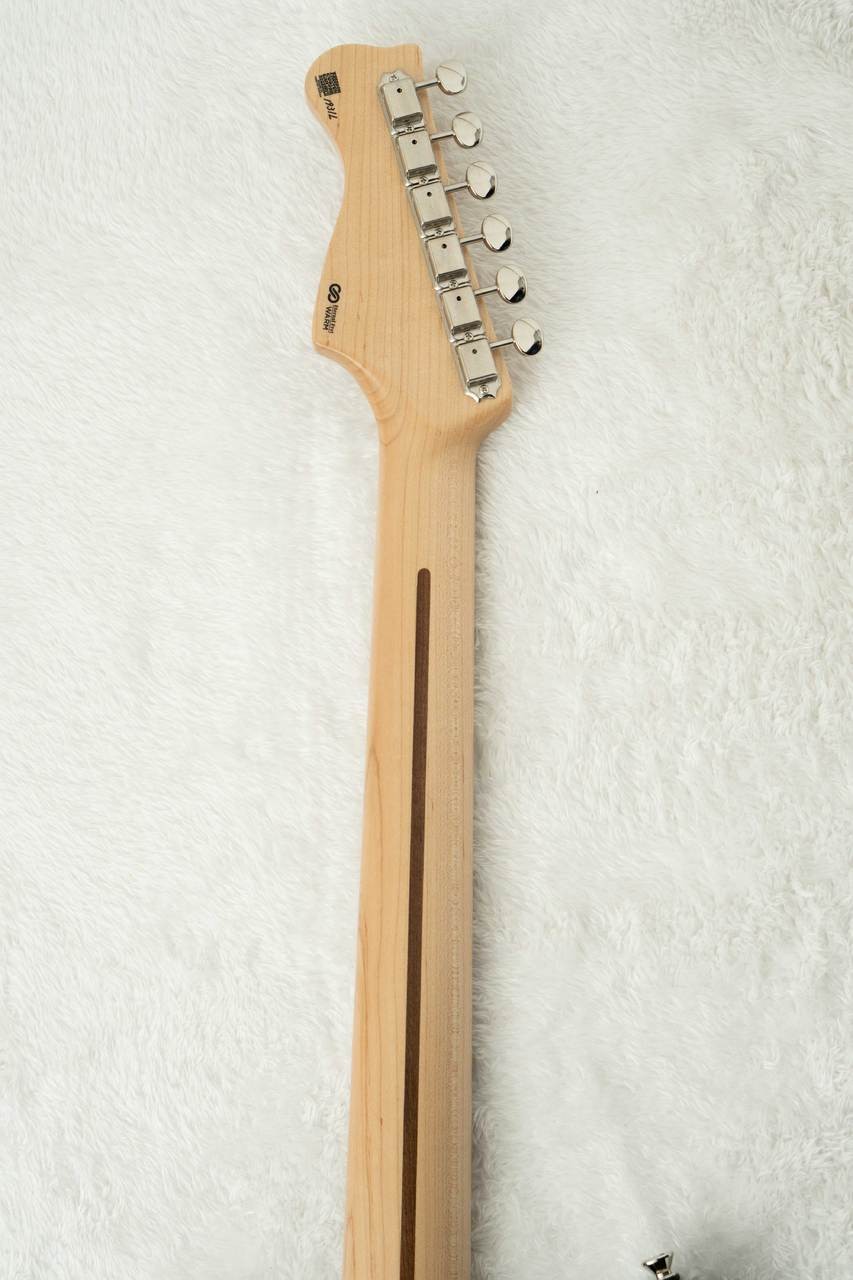FREEDOM CUSTOM GUITAR RESEARCH Custom Order RS ​​ST SSS Alder Maple 1P Neck -2 T