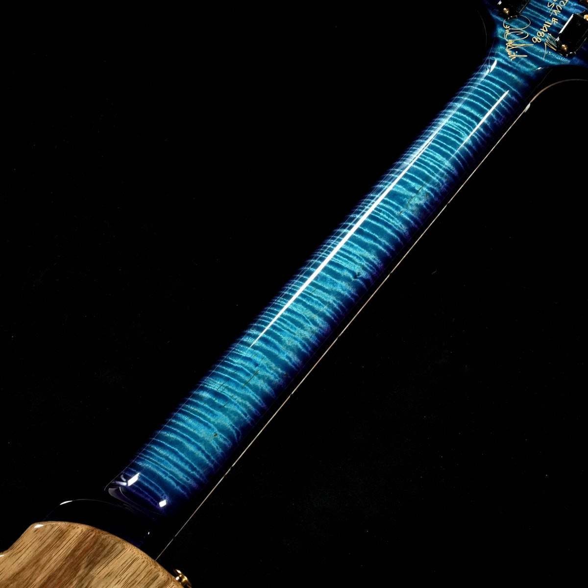 Paul Reed Smith PRS 2025 Private Stock #11988 McCarty 594 Singlecut Trem Aquable