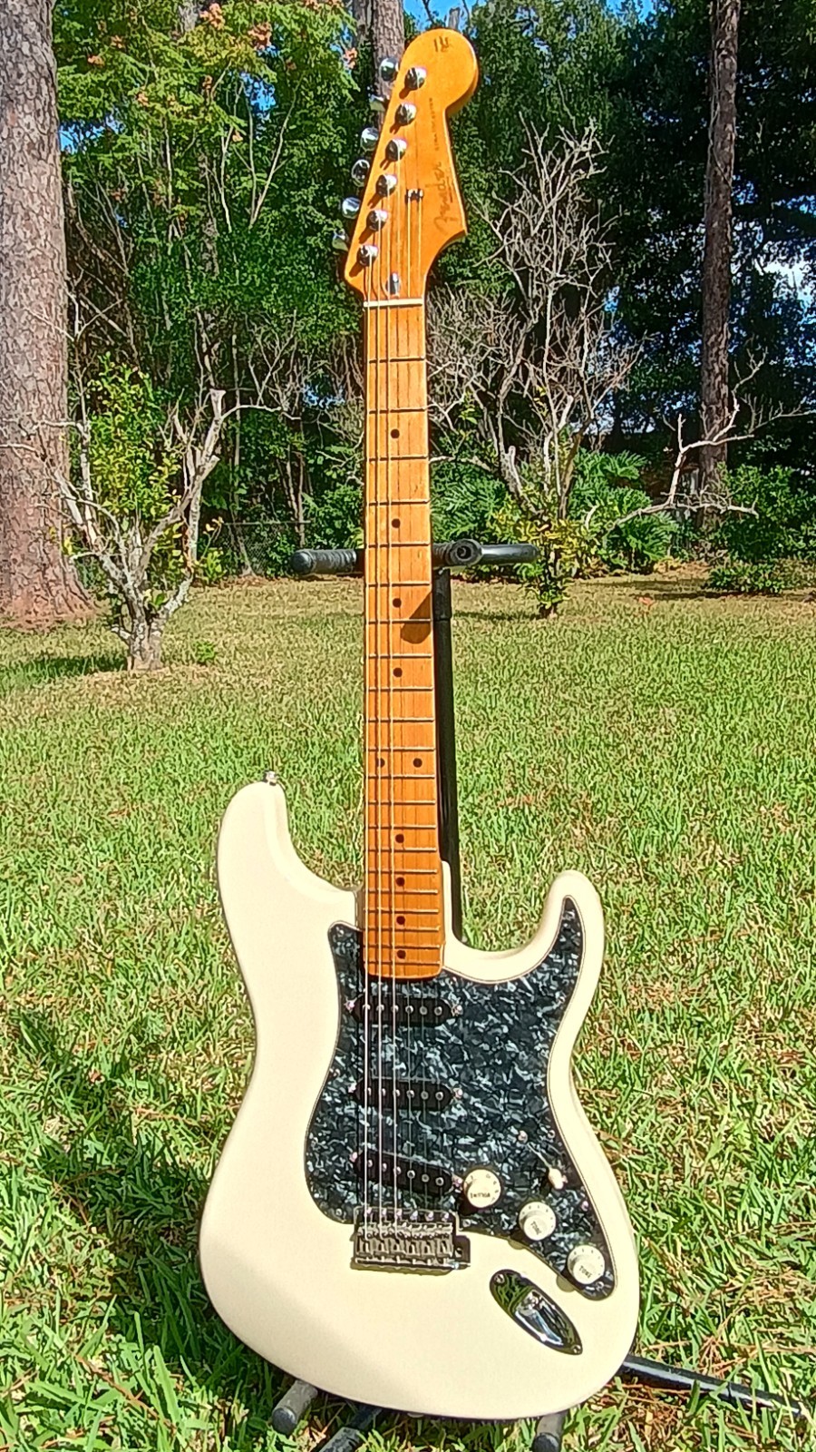 Fender Strat. ( partscaster )